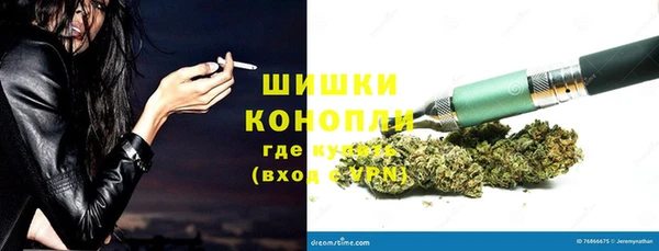 крисы Осинники