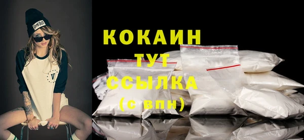прущие грибы Осташков