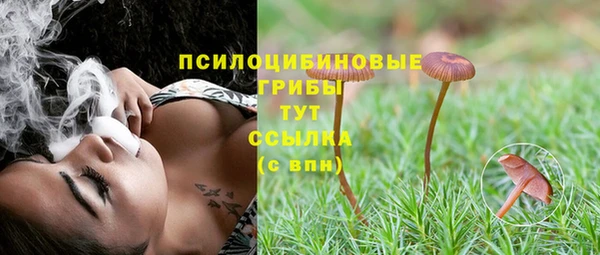молекула духа Алексин